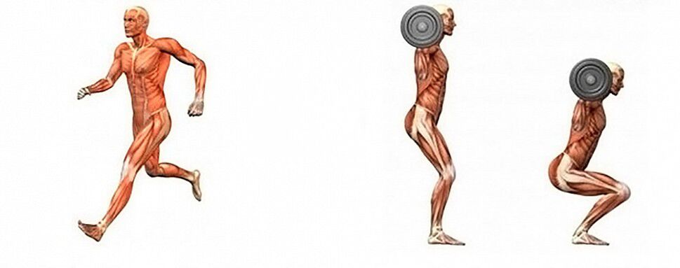 Aerobic und Krafttraining zur Gewichtsreduktion